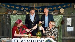 &lsquo;Warts and all&rsquo; inquiry into Flavours of Limerick festival which cost &euro;120,000