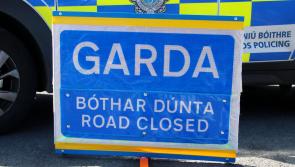 BREAKING: Motorist, 40s, dies in collision close to Limerick-Tipperary border