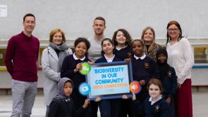 Limerick students focus on biodiversity in short video competition 