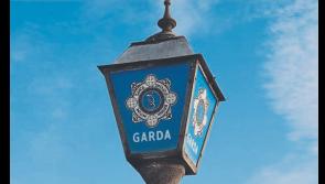 Tools, equipment and diesel stolen in overnight thefts on County Limerick farms