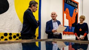 Colour and imagination come alive in new exhibit in Limerick City Museum