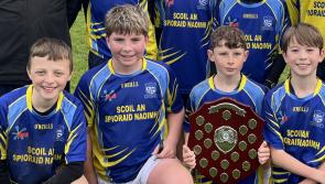 PICTURES: Limerick primary schools celebrate Mini Sevens success