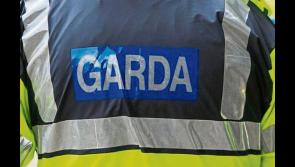 'The potential to be used in criminal activity': Firearm stolen from premises in County Limerick