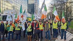 Limerick IFA flag waved proudly at huge farmer protest in Brussels