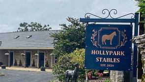 Threat of demolition hangs over state-of-the-art equestrian centre in Limerick