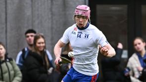 Limerick hurling stars return to college action in Fitzgibbon Cup