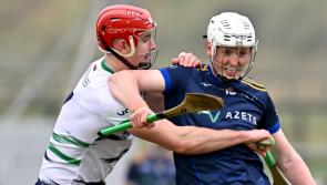 Seven Limerick hurling stars shine as University of Limerick overcome DCU in Fitzgibbon Cup 