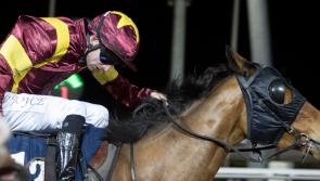 Limerick jockey Wesley Joyce visits winners enclosure at Dundalk