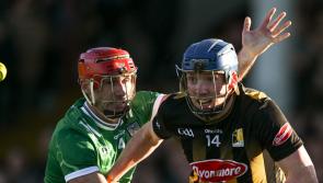 Limerick return to winning ways with precious win over Kilkenny in Allianz Hurling League