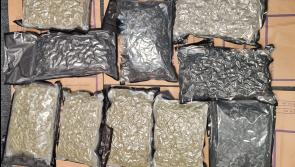 Garda&iacute; seize &euro;100k of cannabis herb in Limerick