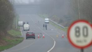 Gardai seek two vehicles 'travelling in convoy' after violent assault on Limerick  mum