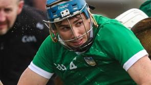 Limerick cruise to victory over Kerry in Munster Hurling League