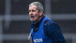 Details confirmed for Limerick's Tailteann Cup quarter-final with Laois
