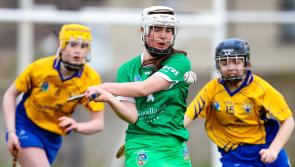 Limerick's All-Ireland minor camogie final fixed for Nowlan Park