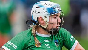 Limerick camogie side guarantee senior status with emphatic victory over Offaly