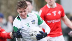 Limerick lose out to Louth's late flurry of scores in Allianz Football League