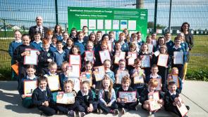 New  Greenway to feature artwork by children from Limerick school 