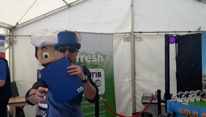 WATCH| Ploughing revellers get taste of life as a jockey with race in Gold Cup for prizes 
