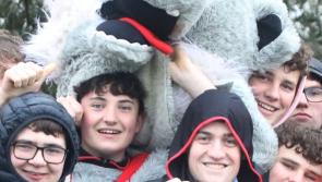 In Pictures: Ardscoil Ris supporters celebrate Dr Harty Cup quarter-final win