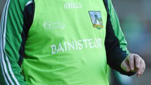 Who's who in the 12 Limerick senior club hurling managements for the 2022 championship
