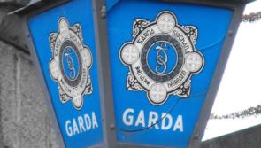 Security staff called ‘retards’ at race day, Limerick court hears
