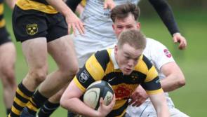 Two wins for Limerick sides in exciting AIL regular season finale