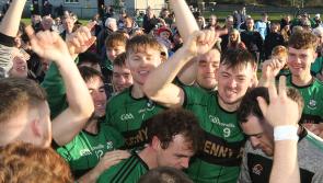 Flynn's late brace fires Granagh-Ballingarry to Limerick intermediate hurling final glory