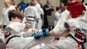 Hundreds attend Martial Arts ITO International Championships in Limerick 