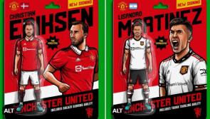 Limerick Manchester United fan&rsquo;s art goes viral