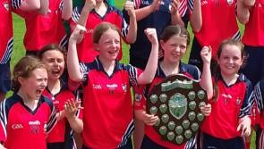 Doon girls Limerick schools camogie champions following Green and White Shield win