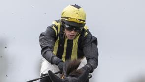 It's winners alright for Limerick horse racing enthusiasts!