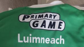 Limerick camogie panel selected for Primary Game with Waterford during Munster SHC match