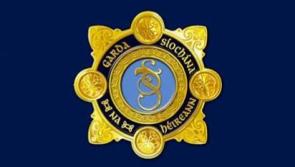 Garda advice for Limerick fans travelling to league final in Cork