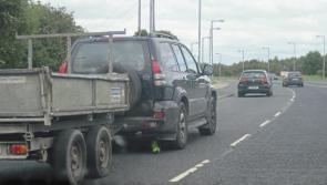 Hitchhike pollination: Pesky plant's stealthy tricks make Limerick council agenda