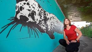 Vibrant otter mural ‘a fantastic addition’ to Limerick’s growing urban art scene