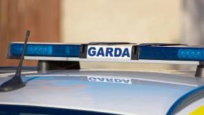 Gardai issue fresh appeal following fatal hit and run near Limerick / Cork border