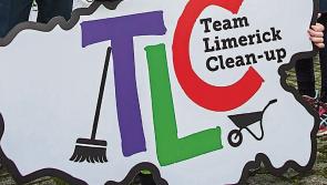 Team Limerick Clean-Up 6 deferred 