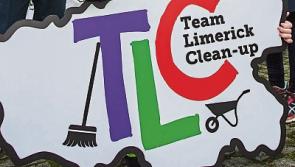 Limerick councillors say a ‘bounty’ on rubbish may help with litter