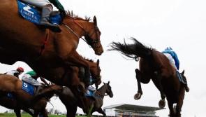 Limerick Racecourse hosts Sunday Family Fun Day