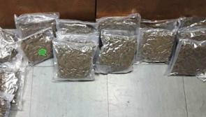 Cannabis herb worth €200,000 seized in Limerick