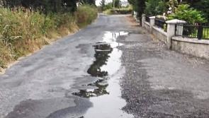 Irish Water apologises for leak delays in Limerick estate