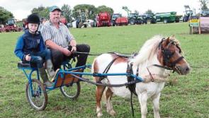 Newcastle West Show trots into its second century