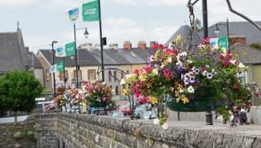 Bloomin' brilliant: Floral displays add a splash of colour to Limerick city