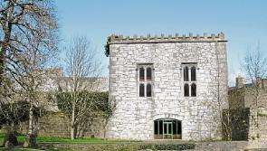 Ambitious list for Limerick regeneration projects 