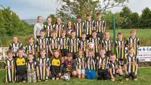 Soccer unites in Limerick Town as historic rivals join forces