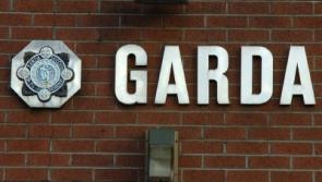 Burglary suspect detained by Limerick gardai following early-morning burglary