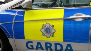 Men in black flee scene of attempted burglary in County Limerick