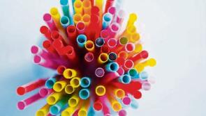 Publicans  at Limerick's Market Quarter switch to eco-friendly straws