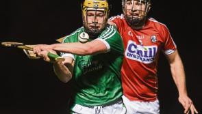 Paul Browne: I'm a Limerick "supporter with the best seat"