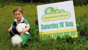 On Show in Limerick: First Cappamore, then on to Croker
